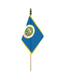 FLAG-MINNESOTA  