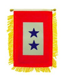 MINI-BAN FAM.MEMBER IN SERVICE (2)