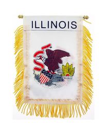 MINI-BAN,STA,ILLINOIS  