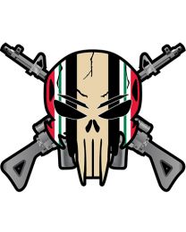 PATCH-IRAQI FREEDOM,SNIPER RIFLES