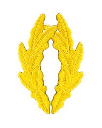 PATCH-SCRAM.EGG,YLW/GOLD (PAIR)