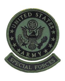 PATCH-SPEC,FORCES,DE OPPR (SUBDUED).