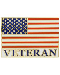 PIN-VETERAN FLAG,USA  