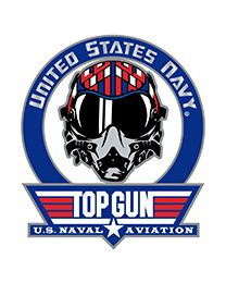 PIN-USN,TOP GUN FIGHTER PILOT