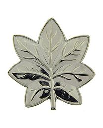 RANK-USMC,LTC,COAT  