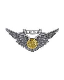 WING-USN,COMBAT AIRCREW  