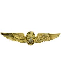 WING-USN,FLIGHT SURGEON (GLD)